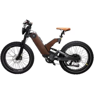 E-Bike Joog P5 Aro 24.4 Bateria de 20Ah Autonomia até 128Km